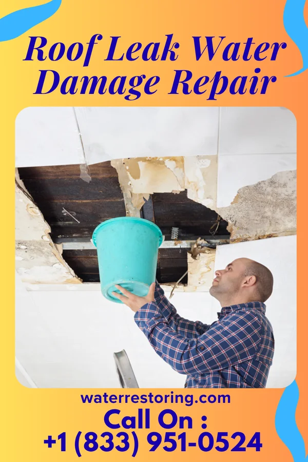 Roof Leak Water Damage Repair in Union Grove, AL